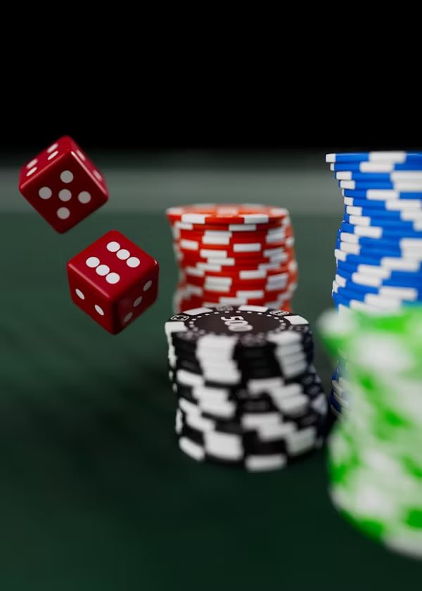 8anu Bingo Online